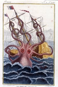 Kolossaler Oktopus (Riesenkrake) greift ein Schiff an - Gravur aus dem Buch von Pierre Denys-Montfort „Histoire naturelle des mollusques“, Originalausgabe von 1802 von Unknown artist