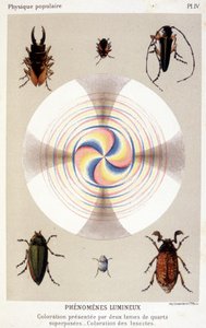 Färbung präsentiert durch zwei überlagerte Quarzblätter, färbende Insekten - in „La physique populaire“ von Emile Desbeaux von Unknown artist