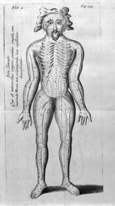 De Acupunctura von W. Ten Rhijne. London 1683. Erster westlicher Text über Akupunktur