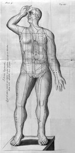 De Acupunctura von W. Ten Rhijne. London 1683. Erster westlicher Text über Akupunktur