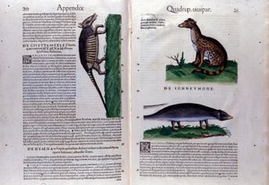 Doppelseite der Historia Animalium von Conrad Gesner (1516-1565), Tiguri von Unknown artist