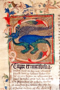 Drachenverzierte Initiale (Detail) von Unknown artist