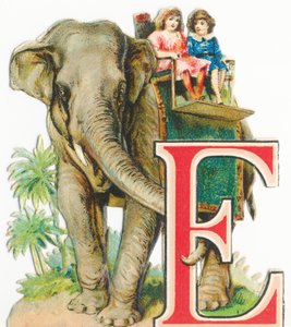 E: Elefant