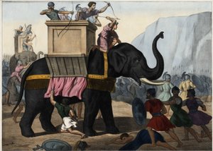 Eleazar Makkabäus (Maccabee oder Macabee) kämpft an der Seite der Juden gegen die Unterdrückung durch die Seleukiden. Anonyme Gravur aus der Mitte des 19. Jahrhunderts. von Unknown artist