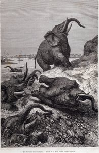 Elefanten erklimmen das Ufer eines Flusses, Bericht einer Expedition nach Zentralafrika im Auftrag von Sir Samuel White Baker, „Tour du monde“ von Unknown artist