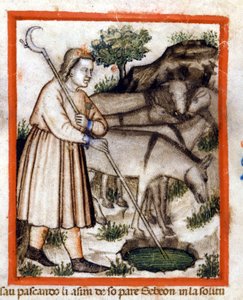 Esa weidet Esel - der Pentateuch. Miniatur aus Codex 212 (oder Padovano Codice oder Bibel von Padua) 1390-1400 Rovigo, Accademia dei Concordi von Unknown artist