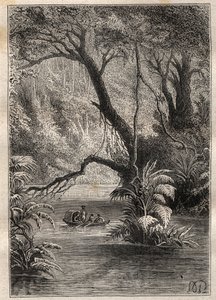 Expedition nach Amerika (1799-1804) von Alexander von Humboldt (1769-1859) und Aime Bonpland (1773-1858): die Entdecker fahren den Orinoco hinunter, umgeben von den gigantischen Bäumen des Amazonaswaldes (Cano Pimichin, Venezuela) - Illustration aus „Die g