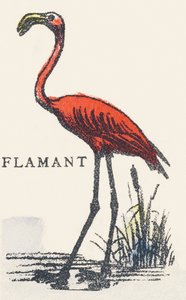 F: Flamingo von Unknown artist