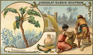 Stoff aus Bananenschalenfasern. Chromolithographie, Verpackung von Guérin Boutron Schokoladen. von Unknown artist