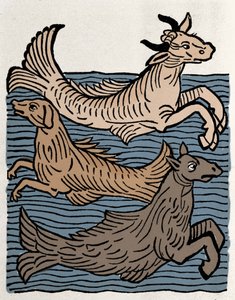Fantastische Kreaturen: Darstellung einer Kuh, eines Hundes und eines Seepferdchens. Gravur aus „Hortus sanitatis“