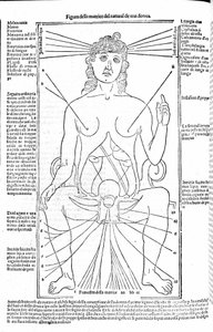 Weibliche Fortpflanzungsorgane - in Abhandlung der Medizin von Gerolamo Cardano (Cardano) (Cardanus Hieronymus), Florenz 1585.