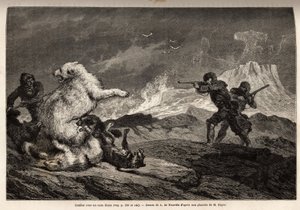 Kampf mit einem Eisbären, der ihr Junges schützt, das Rudel Hunde greift sie an und die Jäger, mit Gewehren bewaffnet, warten auf den richtigen Moment, um sie zu erschießen. Gravur zur Illustration der Reise zum freien Meer des Arktischen Pols, von Dr. Hay von Unknown artist
