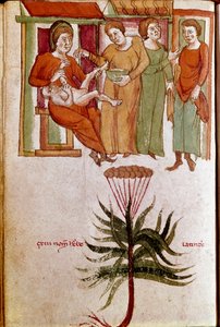 Vier Frauen kümmern sich um ein Kind (Miniatur, frühes 13. Jahrhundert) von Unknown artist