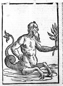 Glaukos mit dem magischen Gras, das ihm erlaubt, im Meer zu leben - in Mythologiae sive explicationis fabularum von Natalis Comitis. Patavia von Unknown artist