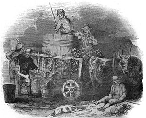 Erntearbeiter in Pola (Pula) (Istrien) in Kroatien im 19. Jahrhundert. von Unknown artist