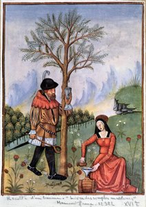 Ernte eines Balsams - Buch der einfachen Heilmittel von Unknown artist