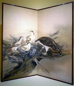 Falken, Nest und gebrochener Baum von Unknown artist