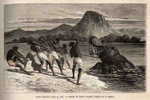 Nilpferdjagd mit dem Houarti-Stamm, mit Harpunen und Speeren, das wütende Tier lädt und widersteht. Gravur zur Illustration der Erforschung der abessinischen Nebenflüsse des Nils, von Sir Samuel W. Baker, 1861-62, veröffentlicht in „Le tour du monde“