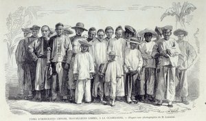 Geschichte der französischen Kolonien: Chinesische Einwanderer arbeiten in Guadeloupe. Zeichnung nach Fotografie des späten 19. Jahrhunderts von Unknown artist