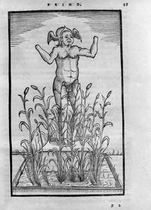 Homme sans bras - in „De Transmutatione Metallica Sogni Tre“ von Giovanni Battista Nazari, herausgegeben in Brescia 1599 von Unknown artist