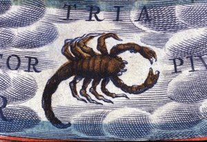 Horoskop: Sternzeichen Skorpion von Unknown artist