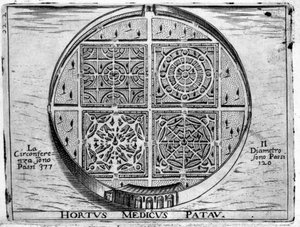 Hortus Medicus Patav: Medizinischer Garten von Padua