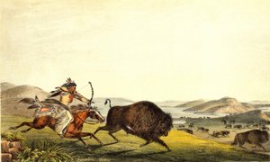 Bisonjagd in Nordamerika. 19. Jahrhundert. von Unknown artist