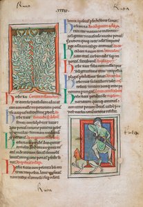 Illuminierte Miniaturen der Pflanze Raute (Ruta), die für verschiedene Beschwerden verwendet werden kann, einschließlich Augenschmerzen, Vergesslichkeit und Lethargie; und unten ein Mann, der ein Schwert zieht, um sich gegen einen rotgesichtigen tollwütige