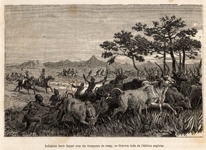 Indigene Baris (Bevölkerung des Sudan) bewaffnet mit Bögen und Pfeilen, fliehen mit den von Sir Baker beschlagnahmten Herden, um zu verhindern, dass sie andere Stämme in der Region angreifen, um sie zu plündern und zu versklaven, eine Gravur zur Illustrati