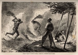 Einheimische Kanaken entzündeten ein Savannenfeuer, das sie selbst angezündet hatten, um Mücken zu jagen, vor den Augen des Erzählers und seines Reisebegleiters. Gravur zur Illustration der Reise nach Neukaledonien von 1863 bis 1866, von Jules Garnier, Ber