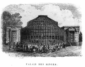 Jardin des Plantes in Paris 1861: Palast der Affen