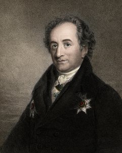 Johann Wolfgang von Goethe 1749-1832 (19. Jahrhundert) von Unknown artist