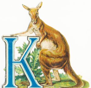 K: Känguru