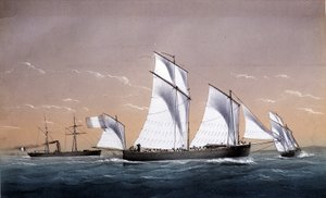 Die universelle Flotte - in „Marines um 1850“, A.D. von Unknown artist