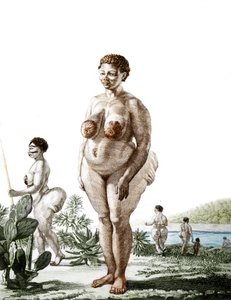 Die Venus Hottentote, Frau der Rasse Bochiman (Die Hottentot Venus), Gravur von 1815. von Unknown artist