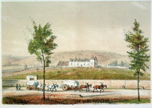 Le Clos Vougeot, Weinberg der Côte d