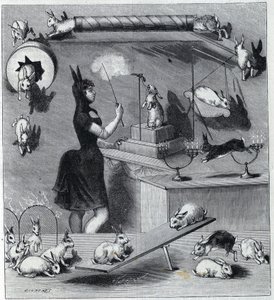 Die verkleideten Kaninchen des Neuen Zirkus in Paris: Dompteur im Kaninchenkostüm lehrt dem Tier die verschiedenen Nummern. In „La Nature“ 1890 von Unknown artist