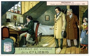Liebig Chromolithographie von Unknown artist