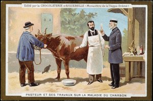 Louis Pasteur und seine Arbeit über die Milzbrandkrankheit - Werbeetikett von Chocolats d