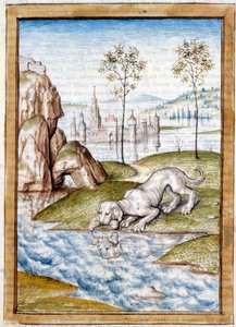 Miniaturtiere aus einer deutschen Übersetzung der Fabeln von „Kalila und Dimna“ von Bidpai von Unknown artist