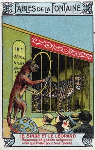 Affe und Leopard - Fabeln von Jean de La Fontaine (1621-95) - Chromolithographie des späten 19. Jahrhunderts Private Sammlung
