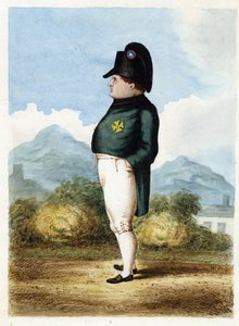 Napoleon Bonaparte auf der Insel St. Helena von Unknown artist