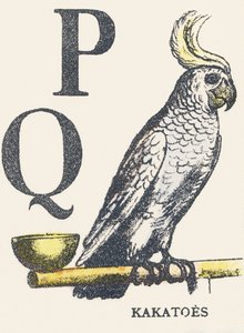 P Q: Kakadus