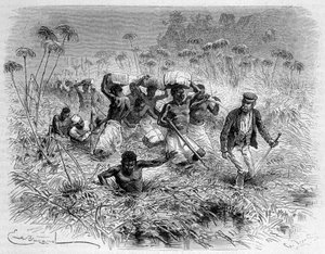 Durchquerung des Chisera durch Livingstone und seine Träger - „Livingstones letzte Reise 1866-1873“ in „Rund um die Welt“, 2. Halbjahr 1875