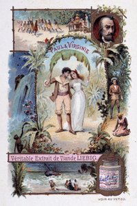 Paul und Virginia. Roman von Henri Bernardin de Saint Pierre. Illustration von V. Massé