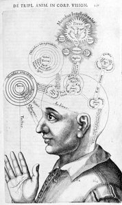 Physiognomie-Bild (Phrenologie) aus Collectio Operum von Robert Fludd (Robertus de Fluctibus). London 1617 von Unknown artist