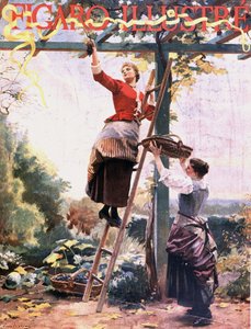 Traubenlese in hängenden Reben - in Figaro illustré, Okt. 1891 von Unknown artist
