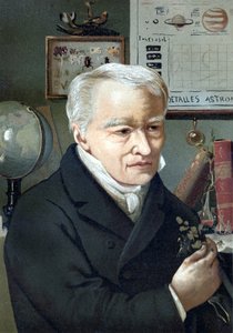 Porträt von Alexander von Humboldt (Alexander von Humboldt von Unknown artist