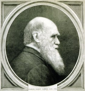 Porträt von Charles Darwin (1809 - 1882)