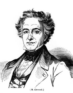 Porträt von Eugène Chevreuil (1786-1889), französischer Maler. von Unknown artist